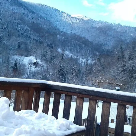 Шале Chalet De 2 Chambres Avec Terrasse Amenagee Et Wifi A Ger De A 4 Km Des Pistes Boutx