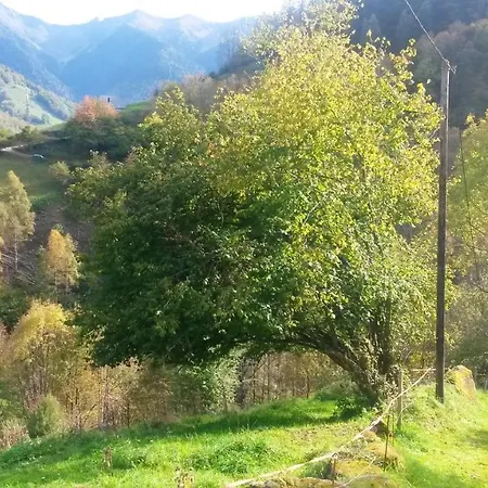 Chalet De 2 Chambres Avec Terrasse Amenagee Et Wifi A Ger De A 4 Km Des Pistes